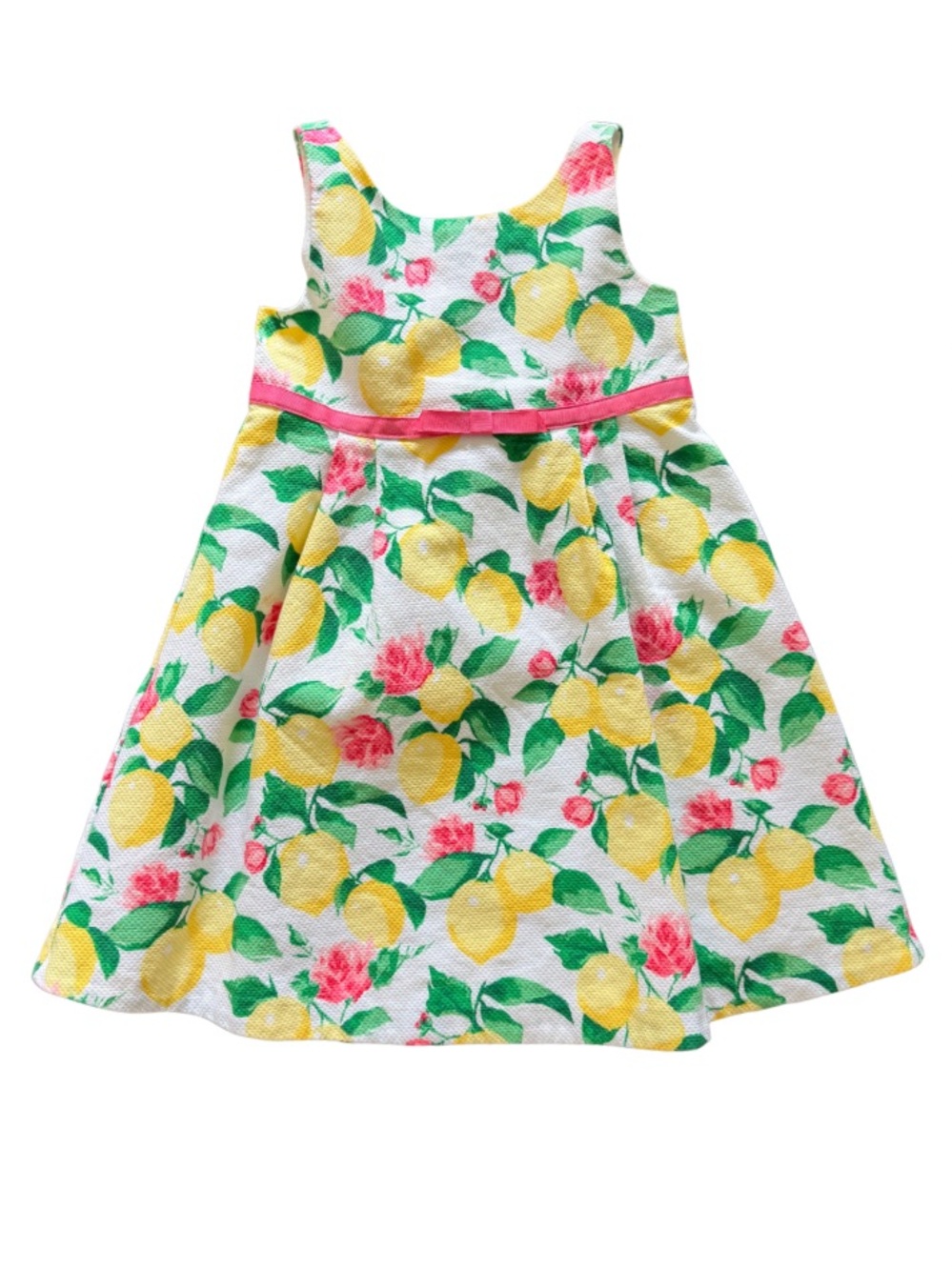 Janie and Jack Lemon & Rose Floral Dress 2T 🍋🌹